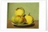 Dish of Apples and Quinces by David Johnson