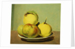 Dish of Apples and Quinces by David Johnson