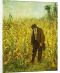 Man in a Cornfield by Eastman Johnson
