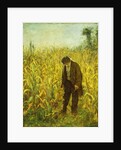 Man in a Cornfield by Eastman Johnson