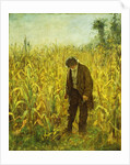 Man in a Cornfield by Eastman Johnson