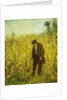 Man in a Cornfield by Eastman Johnson