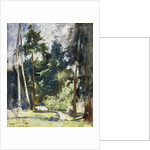 Tall Pines by Emil Carlsen