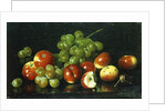 Still Life with Crabapples and Grapes by Joseph Decker