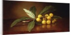 Tropical Plums by Martin Johnson Heade