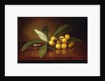 Tropical Plums by Martin Johnson Heade