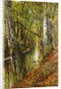 A Wooded River Landscape, 1893 by Peder Monsted