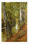 A Wooded River Landscape, 1893 by Peder Monsted