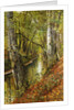A Wooded River Landscape, 1893 by Peder Monsted