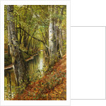 A Wooded River Landscape, 1893 by Peder Monsted