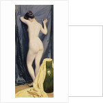 The Model, 1894 by Paul Fischer