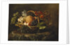 A Pineapple, Grapes, Peaches and Apricots in a Basket by Johan Laurents Jensen