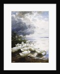 Ducks at the Lake's Edge by Alexander Koester