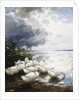 Ducks at the Lake's Edge by Alexander Koester