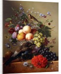 Peaches, Grapes, Plums and Flowers in a Glass vase with a Jay on a Ledge by Arnoldus Bloemers