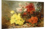 Daisies, Begonia, and Other Flowers in Pots by Eugene Henri Cauchois