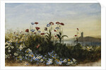 Ferry Carrig Castle, Co. Wexford, Seen Through a Bank of Wild Flowers by Andrew Nicholl