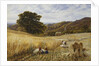 Harvest Time Near Holmbury Hill, Surrey, 1865 by George Vicat Cole