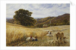 Harvest Time Near Holmbury Hill, Surrey, 1865 by George Vicat Cole