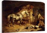 The Interior of a Stable with a Dapple Grey Horse in Harness, with Ducks, Goats, and a Cockerel by a Manger, 1843 by John Frederick Herring Snr