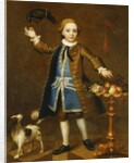 Portrait of a Boy by John Theodore Heins