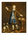 Portrait of a Boy by John Theodore Heins