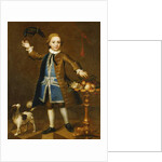 Portrait of a Boy by John Theodore Heins