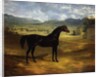 Jack Spigot, a Dark Bay Racehorse in a Paddock at Bolton Hall, 1824 by John Frederick Herring Snr
