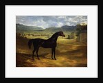 Jack Spigot, a Dark Bay Racehorse in a Paddock at Bolton Hall, 1824 by John Frederick Herring Snr