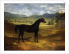 Jack Spigot, a Dark Bay Racehorse in a Paddock at Bolton Hall, 1824 by John Frederick Herring Snr