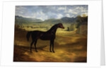 Jack Spigot, a Dark Bay Racehorse in a Paddock at Bolton Hall, 1824 by John Frederick Herring Snr