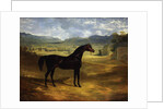 Jack Spigot, a Dark Bay Racehorse in a Paddock at Bolton Hall, 1824 by John Frederick Herring Snr