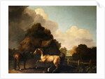 Stallion and Mare, traditionally called 'Jupiter and Mare' by George Stubbs