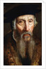 Portrait of a Bearded Man by John the Elder Bettes