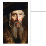 Portrait of a Bearded Man by John the Elder Bettes