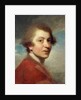 Portrait of the Artist, Head and Shoulders, in a Red Gown of a Doctor of Laws and White Stock - Unfinished by Joshua Reynolds
