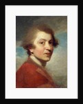 Portrait of the Artist, Head and Shoulders, in a Red Gown of a Doctor of Laws and White Stock - Unfinished by Joshua Reynolds