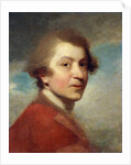 Portrait of the Artist, Head and Shoulders, in a Red Gown of a Doctor of Laws and White Stock - Unfinished by Joshua Reynolds