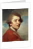 Portrait of the Artist, Head and Shoulders, in a Red Gown of a Doctor of Laws and White Stock - Unfinished by Joshua Reynolds