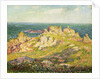 Rocks by the Sea; Rochers au Bord de la Mer by Henry Moret