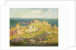 Rocks by the Sea; Rochers au Bord de la Mer by Henry Moret