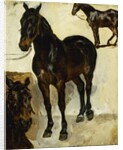 Three Studies of Horses; Trois Etudes de Chevaux, c.1823 by Ferdinand Victor Eugene Delacroix