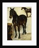 Three Studies of Horses; Trois Etudes de Chevaux, c.1823 by Ferdinand Victor Eugene Delacroix