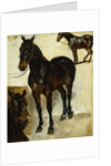 Three Studies of Horses; Trois Etudes de Chevaux, c.1823 by Ferdinand Victor Eugene Delacroix