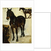 Three Studies of Horses; Trois Etudes de Chevaux, c.1823 by Ferdinand Victor Eugene Delacroix