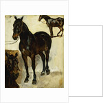 Three Studies of Horses; Trois Etudes de Chevaux, c.1823 by Ferdinand Victor Eugene Delacroix