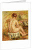 Seated Female Nude, View from behind; Femme nue assise, vue de dos, 1917 by Pierre Auguste Renoir