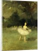 Danseuses by Jean Louis Forain