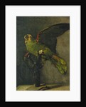 The Green Parrot; Le Perroquet Vert, 1885 by Vincent van Gogh