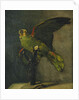 The Green Parrot; Le Perroquet Vert, 1885 by Vincent van Gogh